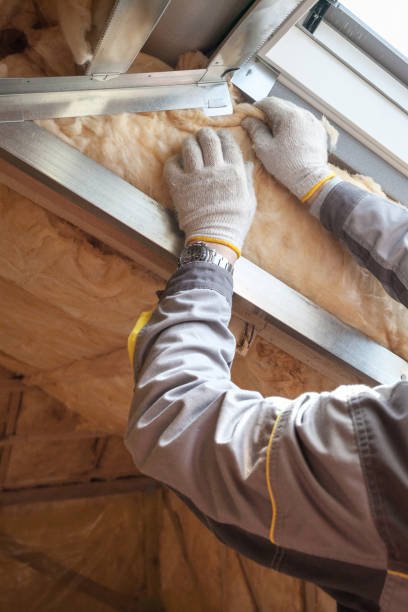 Best DIY Insulation Kits and Guidance in Wright, WY