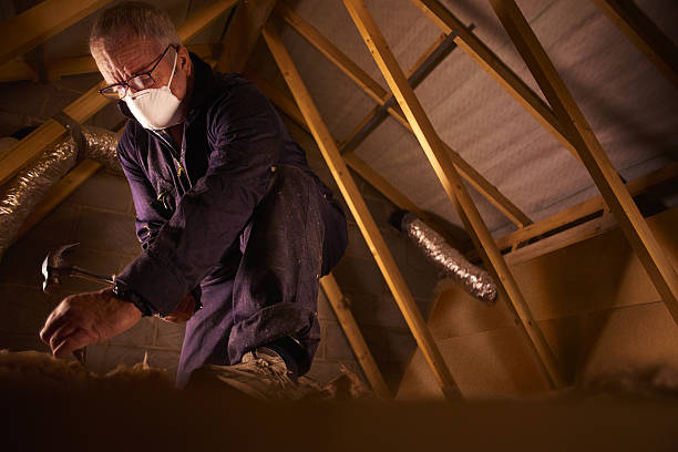 Best Insulation Maintenance and Repair in Wright, WY